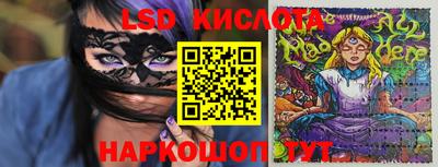 гидропоника Можга