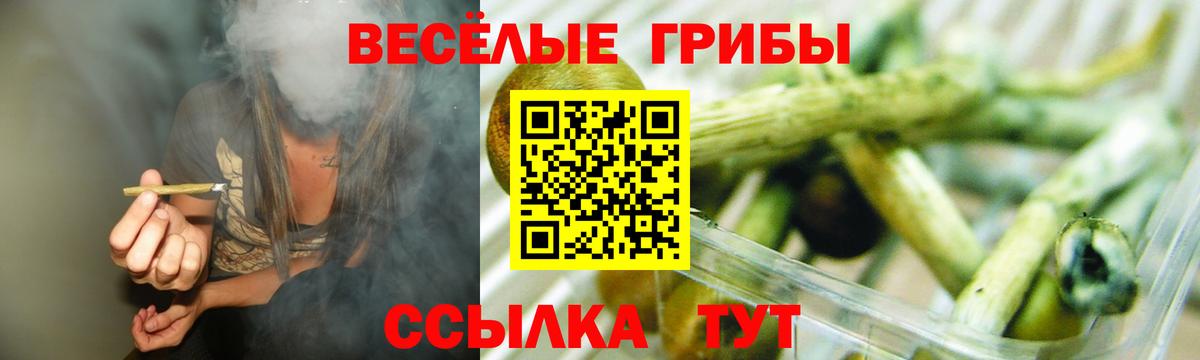 Псилоцибиновые грибы Magic Shrooms  Псилоцибиновые грибы Cubensis  Вход с VPN  Тихорецк 